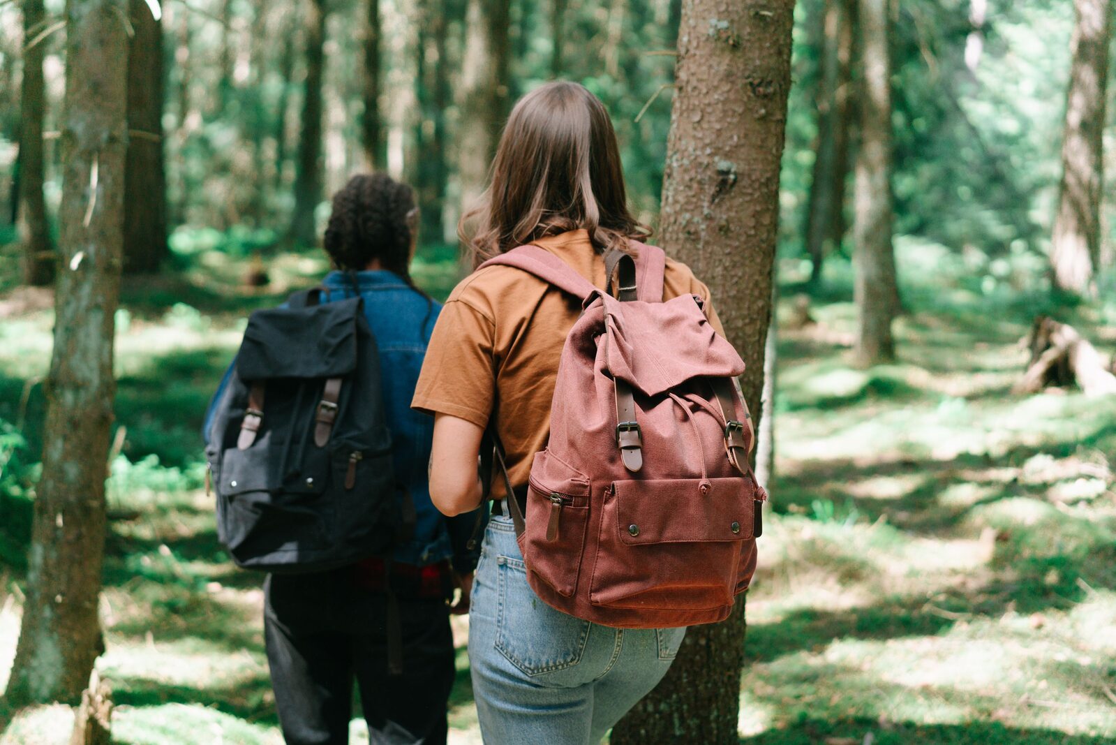 Best Hiking Gear Review Sites: Independent Field Testers